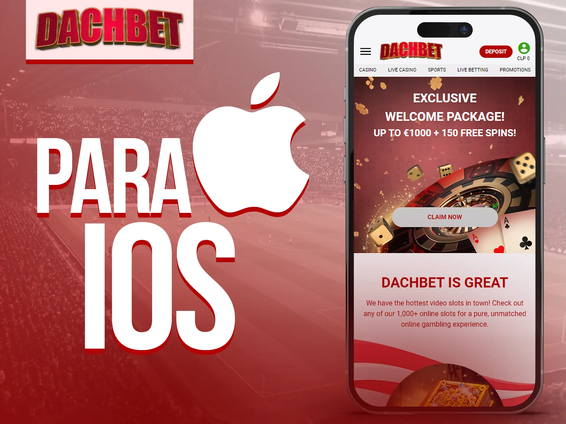 Dachbet en iOS, juega en Safari sin descargas.